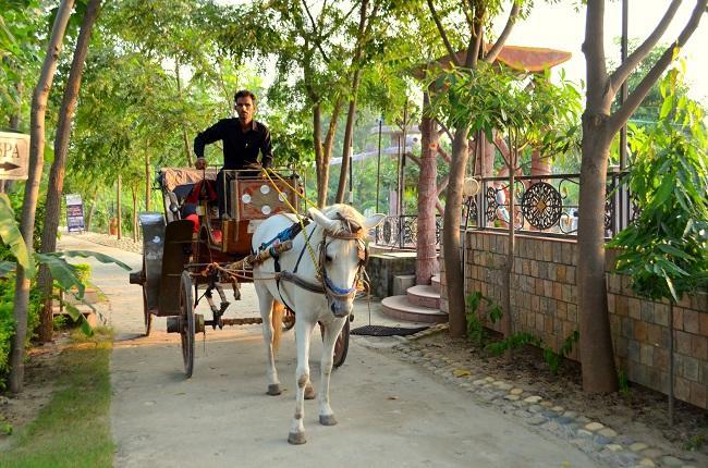 Kangs Nirvana Resorts And Spa Mahalpur Ngoại thất bức ảnh